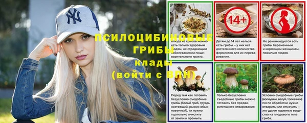 мдпв Арсеньев