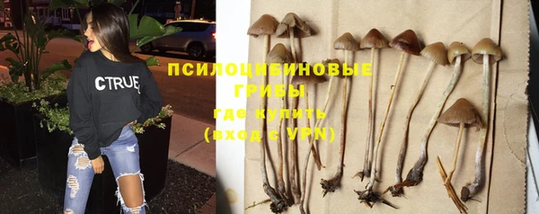 мескалин Армянск