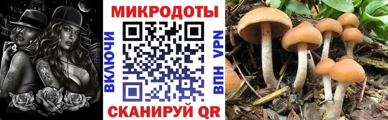 где можно купить наркотик гидра ссылка Псилоцибиновые грибы ЛСД Белозерск